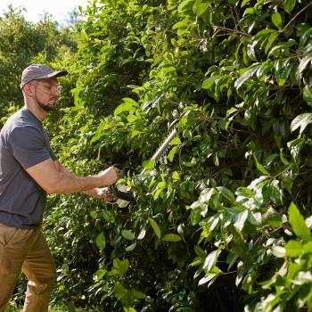 Аккумуляторный кусторез Litheli U20 U20HT00-0U110 (1 аккумулятор 2,0 А/ч)