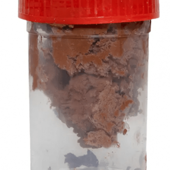 Заземлитель стержневой с заострением L-6м. Ф16  фото 10