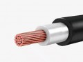 Провод ВПП-4.0 н.380В чер