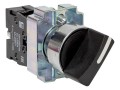 Переключатель BD21 2P NO